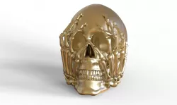 Scary Skull