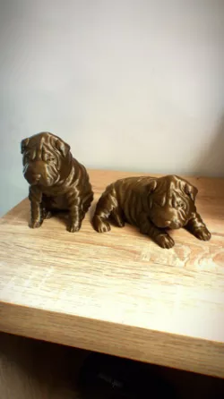 Shar Pei
