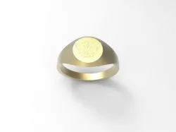 Signet Ring: Arcanum