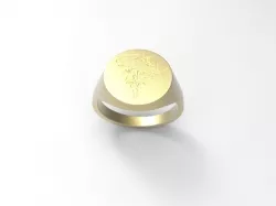Signet Ring: Lion Heart