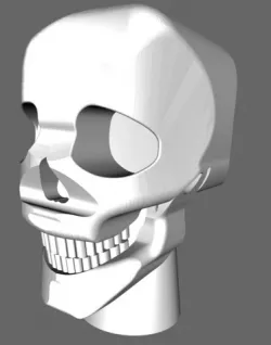 skull