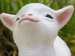 Smug goat