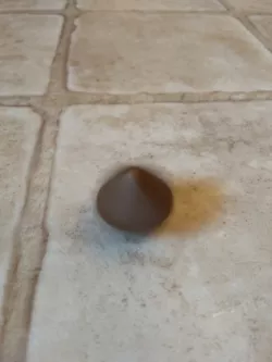 Spinny Square