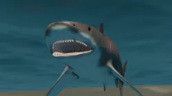 Tigershark
