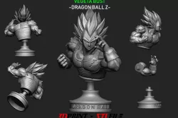 Vegeta Bust - Dragon Ball Z
