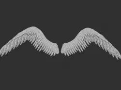 Wings