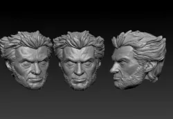 ​Wolverine Head Movie ver.