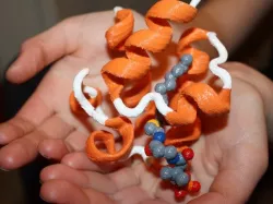 Acyl-Acyl Carrier Protein (PDB 2FAE)