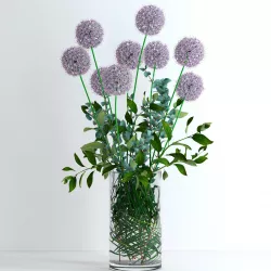 Alliums and Eucalyptus plus Tangerine branches and Palm leaf 3D model