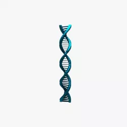 DNA helix 3D model