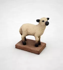 dolly clean 3D model