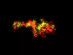 Dragon flame 3D 3D model