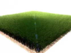 Dynamic Grass 2 3D model