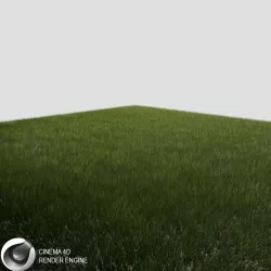 Dynamic Grass 3 3D model