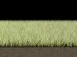 Dynamic Grass Pack 3D model