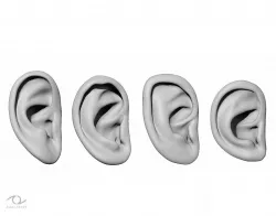 Ear Set 3D model