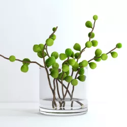 Fig branches 3D model