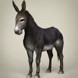 Game Ready Realistic Donkey Low-poly  3D model