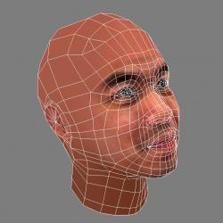 STL file 13 Male Head Sculpt 01 3D model Low-poly 3D model ♂️・Model to  download and 3D print・Cults
