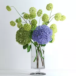 Hydrangeas and Viburnum  3D model