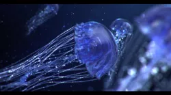 Jellyfish Animated 3D model