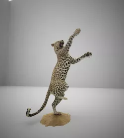 Leopard 3D model