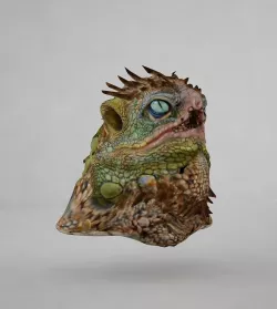 Lizard 1 3D model