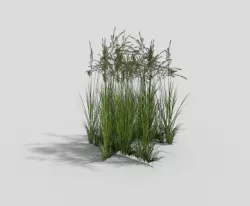 low poly grass Low-poly  3D model