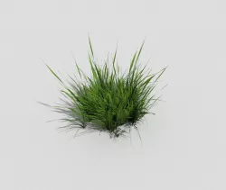 low poly grass Low-poly  3D model
