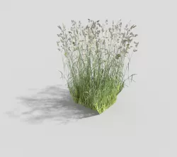 low poly grass Low-poly  3D model