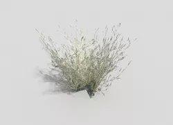 low poly grass Low-poly  3D model