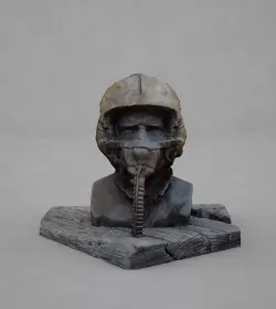 Pilot Bust 3D model