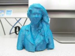 Rachael Bust