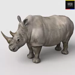 Realistic Rhinoceros 3D model