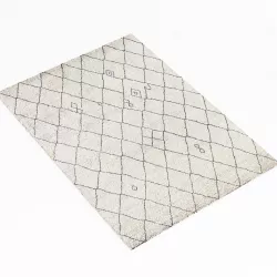 Restoration Hardware rug 3D model