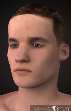 Seva Model Low-poly  3D model