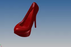 shoe