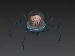 Spider Brain Low-poly  3D model