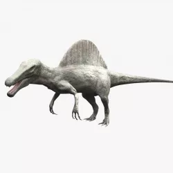 Spinosaurus - rigged 3D model