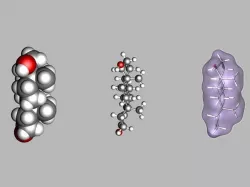 Testosterone molecule 3D model
