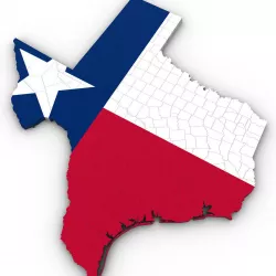 Texas Political Map 3D model