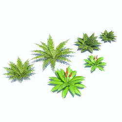 Tropical bushes low-poly Low-poly  3D model
