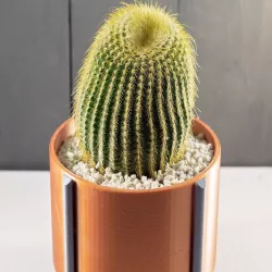 Copper Bowl Planter
