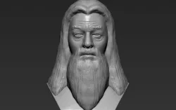 Dumbledore from Harry Potter bust 3D printing ready stl obj