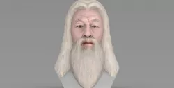 Dumbledore from Harry Potter bust for full color 3D printing