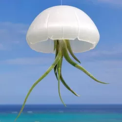 Jellyfish air plant holder