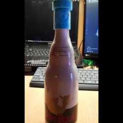 Lamp Shade Adapter for Gulden Draak Beer Bottle