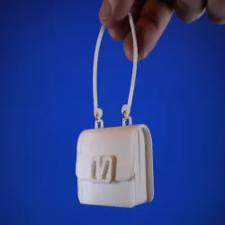 Lizzo's Tiny Purse