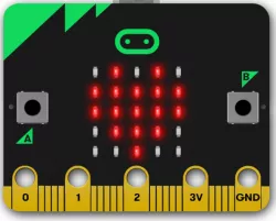Micro Bit case two different files