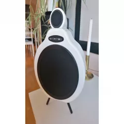 Multiroom speaker